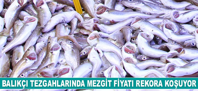 Balıkçı tezgahlarında mezgit fiyatı rekora koşuyor