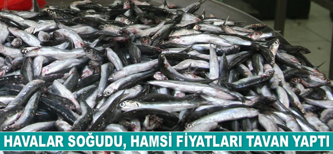 Havalar soğudu, hamsi fiyatları tavan yaptı