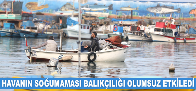 Havanın soğumaması balıkçılığı olumsuz etkiledi