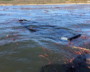 Ferizli’de sandal alabora oldu: 1 kişi kayıp