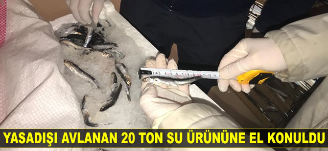 Yasadışı avlanan 20 ton su ürününe el konuldu