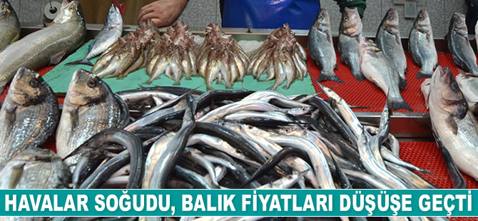 Havalar soğudu, balık fiyatları düşüşe geçti