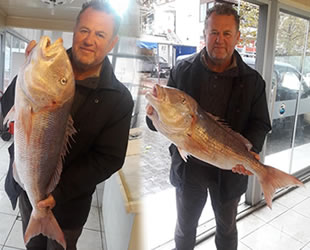 Edremit Körfezi'nde oltayla 9 kiloluk sinarit yakalandı