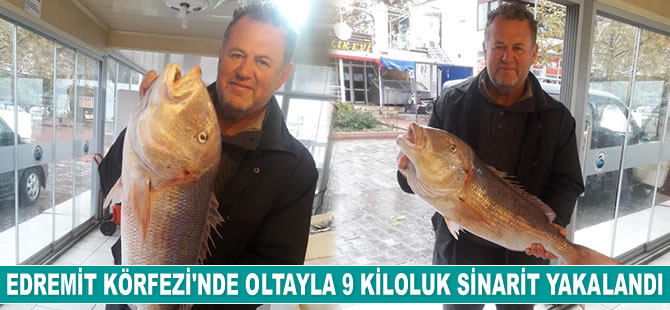 Edremit Körfezi'nde oltayla 9 kiloluk sinarit yakalandı