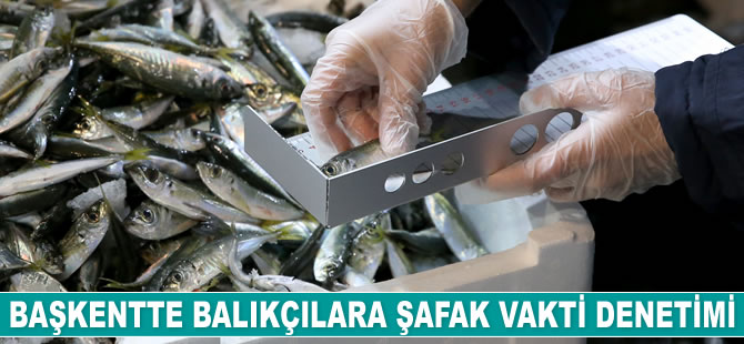 Ankara’da balıkçılara yönelik şafak vakti denetim gerçekleştirildi