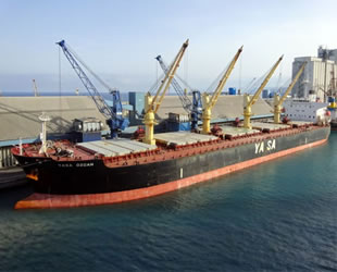 'Yasa Özcan' gemisi, 10.6 milyon dolara Gurita Lintas Samudera şirketine satıldı