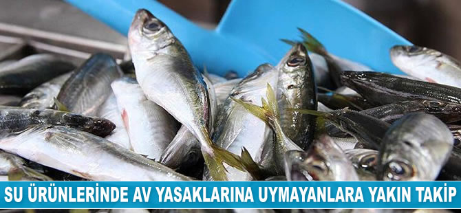 10 ayda 94 bin 442 su ürünleri denetimi yapıldı