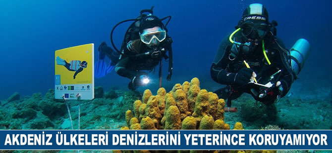 WWF: Akdeniz ülkeleri denizlerini yeterince koruyamıyor