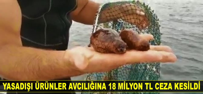 Yasadışı ürünler avcılığına 5 bin 863 olayda 18 milyon TL ceza kesildi