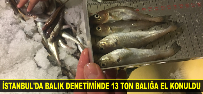 Balık denetiminde 13 ton balığa el konuldu