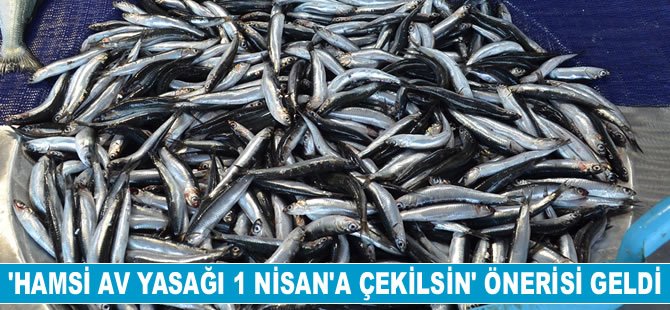 İsmail Oğuz: Hamsinin geleceği tehlikede