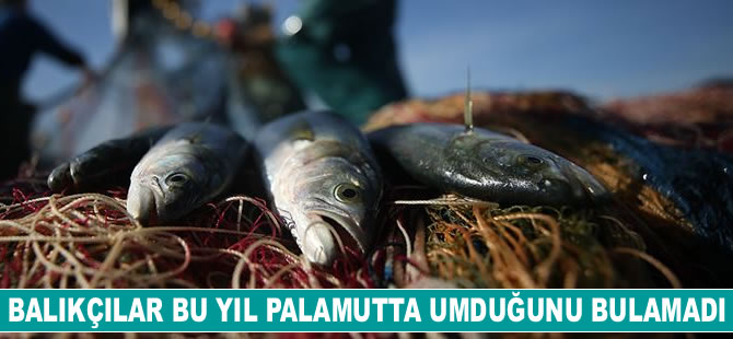 Batı Karadeniz'de palamut sezonu kapandı