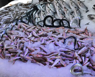 Hamsinin göç etmesiyle tezgahlar istavrit ve mezgite kaldı