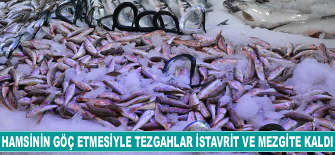 Hamsinin göç etmesiyle tezgahlar istavrit ve mezgite kaldı