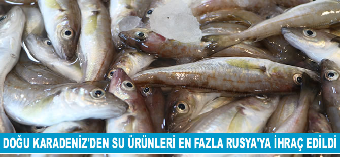 Doğu Karadeniz'den su ürünleri en fazla Rusya'ya ihraç edildi
