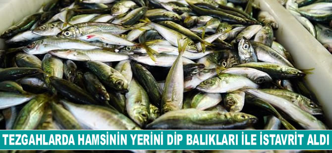 Tezgahlarda hamsi ve palamudun yerini dip balıkları ile istavrit aldı