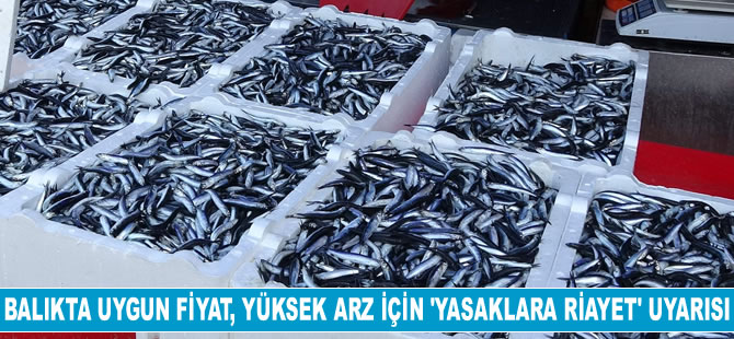 Balıkta uygun fiyat, yüksek arz için 'yasaklara riayet' uyarısı geldi