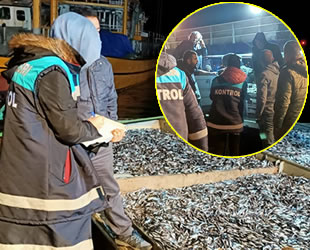 Rize'de 25 ton hamsiye el konuldu