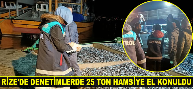 Rize'de 25 ton hamsiye el konuldu