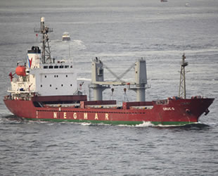 Gübretaş, Nbulkgas Deniz İşletmeciliği’ni satıyor