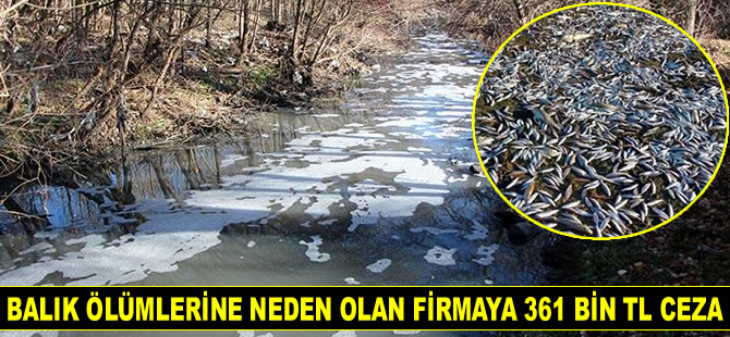 Balık ölümlerine neden olan firmaya 361 bin TL ceza kesildi