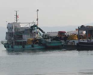 Karadeniz'de balıkçılar, bu sezon umduğunu bulamadı