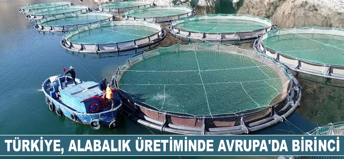 Türkiye, alabalık üretiminde Avrupa'da birinci sırada yer alıyor