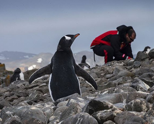 Antarktika seferleri meyvelerini veriyor