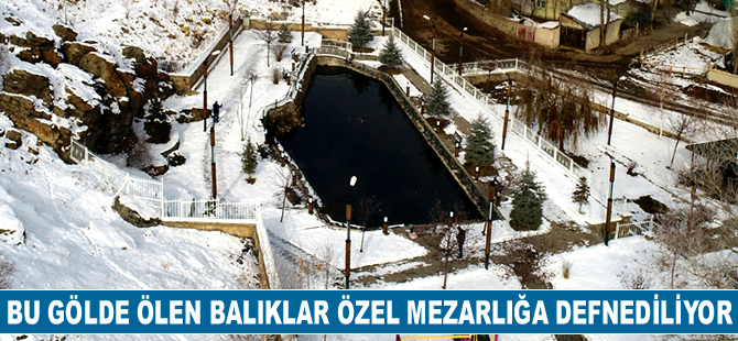 Erzurum’daki Balıklı Göl'ün gizemi çözülemiyor