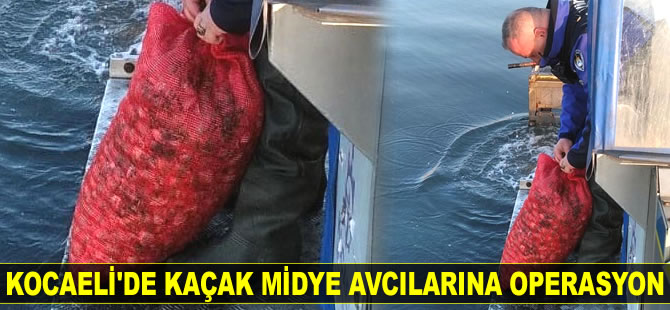 Kocaeli’de kaçak midye avcılarına operasyon düzenlendi
