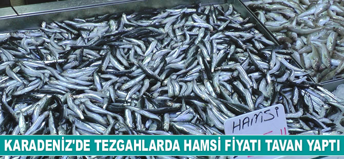 Karadeniz'de hamsi fiyatı tavan yaptı