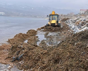 Tatvan sahilinde kamyonlarca atık çıktı