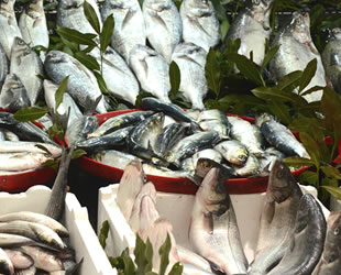 Hamsi tezgahtaki yerini diğer balıklara bıraktı