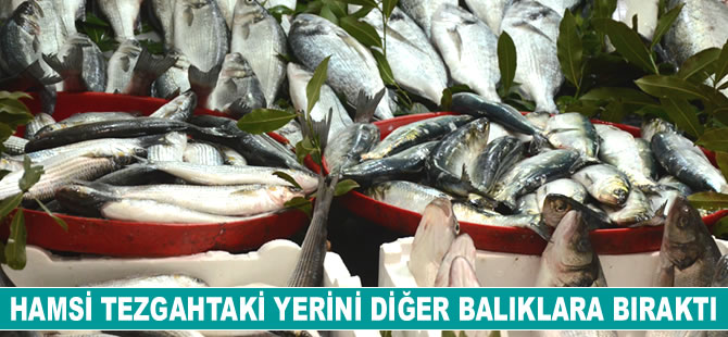 Hamsi tezgahtaki yerini diğer balıklara bıraktı