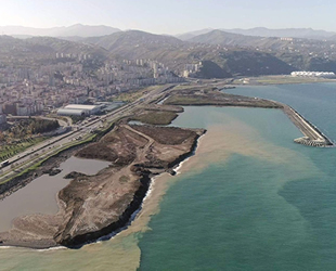 Karadeniz’de kırlangıç ve 30 santimetre boyundaki istavritlere artık rastlanmıyor