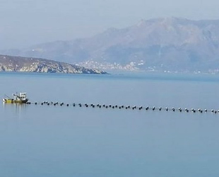 Paşalimanı Adası'ndaki midye çiftliği ruhsatı iptal edildi