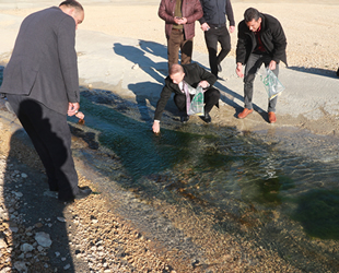 Mut’taki sulama göletinde balıklar kıyıya vurdu