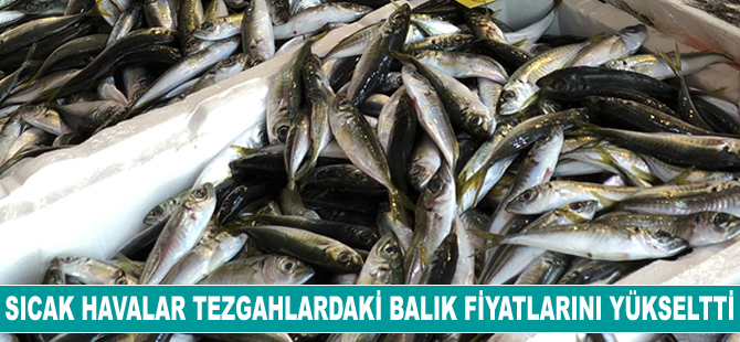 Sıcak havalar tezgahlarda balık fiyatlarını yükseltti