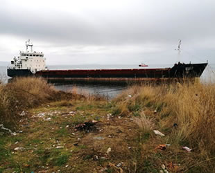 'Nevado 35' adlı kuru yük gemisi, Şarköy'de karaya oturdu