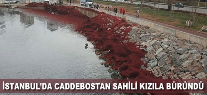 İstanbul'da Caddebostan Sahili kızıla büründü