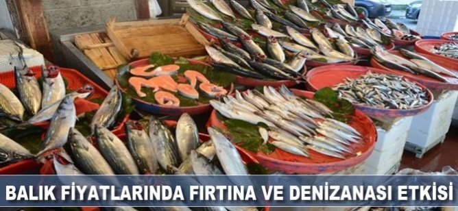 Balık fiyatlarında fırtına ve denizanası etkisi