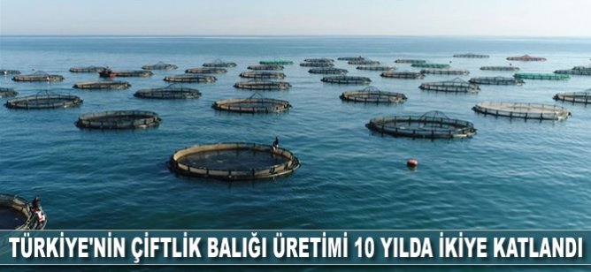 Türkiye'nin çiftlik balığı üretimi 10 yılda ikiye katlandı