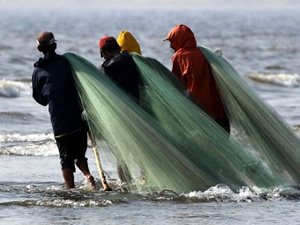 Karadeniz'de ağlara artık balık takılmıyor
