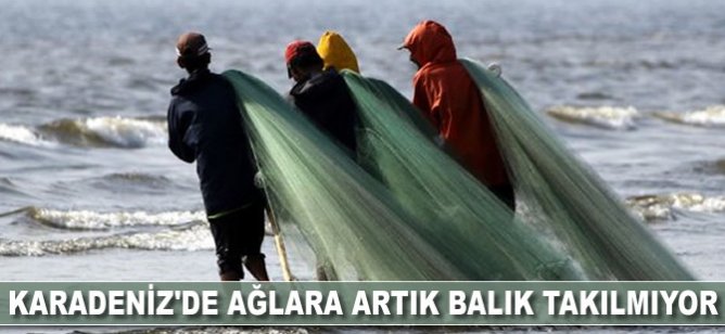 Karadeniz'de ağlara artık balık takılmıyor