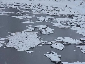 Çat Barajı'ndaki 'yüzen adalar' dondu