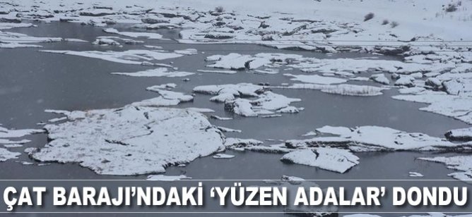 Çat Barajı'ndaki 'yüzen adalar' dondu