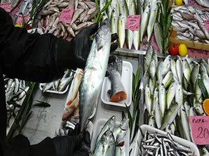 2019 yılı balıkçıların yüzünü güldürmedi