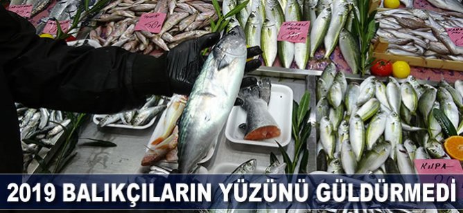 2019 yılı balıkçıların yüzünü güldürmedi