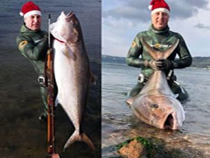 Zıpkınla 1.5 metre uzunluğunda 50 kilogram ağırlığında balık avladı