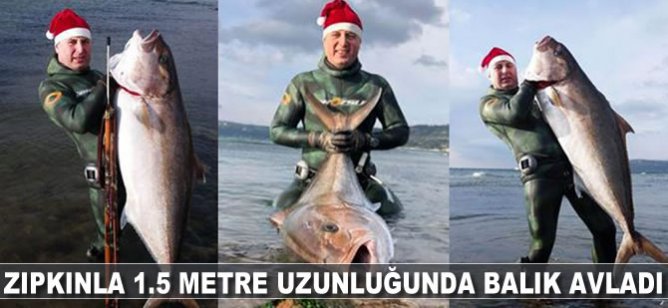 Zıpkınla 1.5 metre uzunluğunda 50 kilogram ağırlığında balık avladı